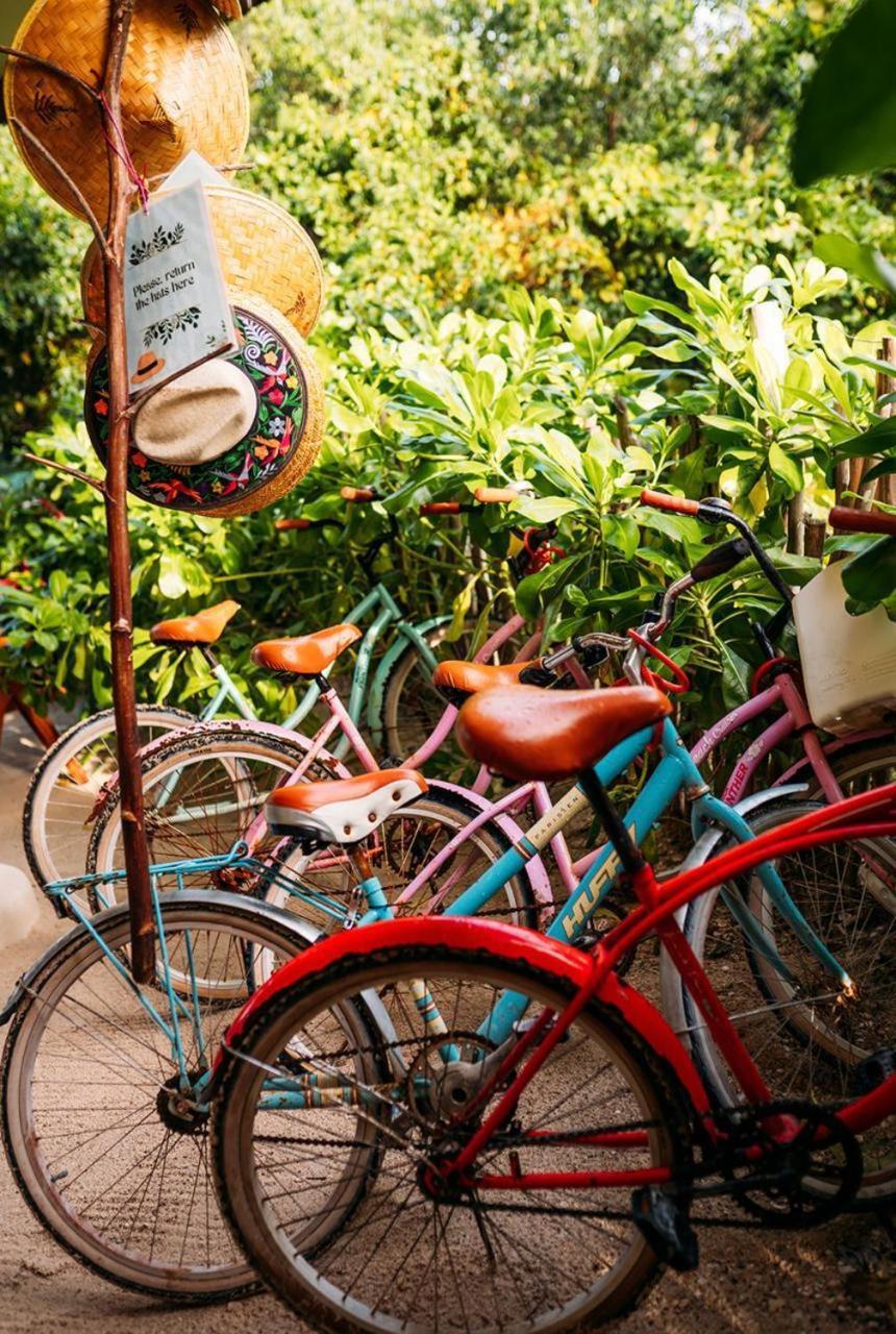 Bed and Breakfast Casa Noma-Noma Holbox Exterior foto